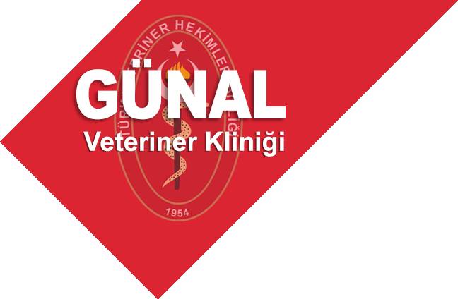 Günal Veteriner Kliniği